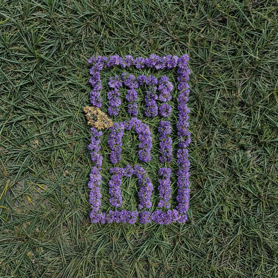 Logo Minini dessiné en fleurs violettes sur le gazon