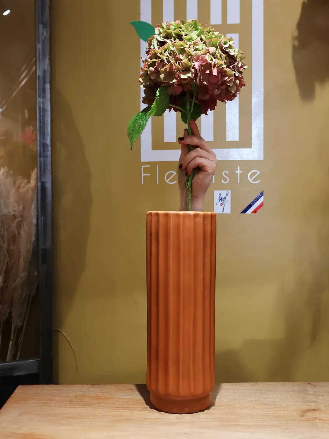 Hortensia dans un vase orange