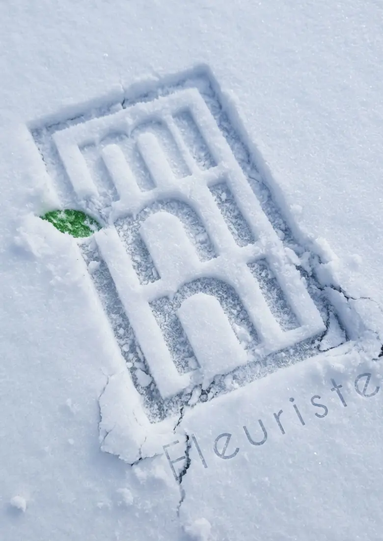 Logo Minini Fleuriste tracé dans la neige