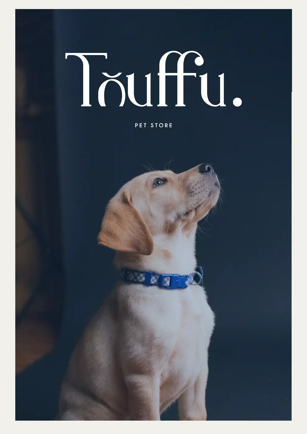 Flyer Touffu Pet Store : chiot sur fond bleu nuit
